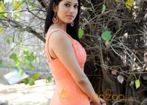 Vandita Photoshoot At Geethopadesam Audio Launch photo 3