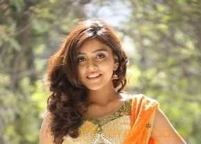  Vithika Sheru Orange Saree Photos  photo 5