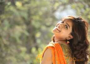  Vithika Sheru Orange Saree Photos  photo 6