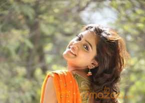  Vithika Sheru Orange Saree Photos  photo 10