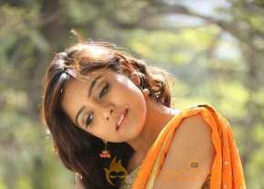  Vithika Sheru Orange Saree Photos  photo 3