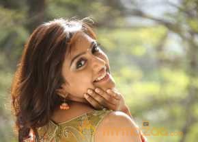  Vithika Sheru Orange Saree Photos  photo 9