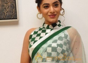 Yamini Bhaskar Hot Light Green Saree Pics photo 14