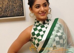 Yamini Bhaskar Hot Light Green Saree Pics photo 4