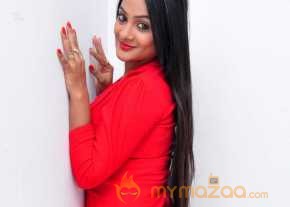 Yelli Photoshoot At Pramadam Movie Success Meet photo 8