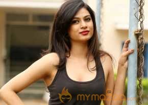  Zara Shah Photoshoot At Aithe 2-0 Movie Launch  photo 3