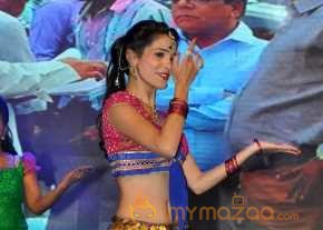  Zareena Photoshoot At Son Of Satyamurthy Movie Audio Launch  photo 6