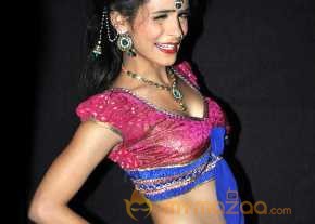  Zareena Photoshoot At Son Of Satyamurthy Movie Audio Launch  photo 7