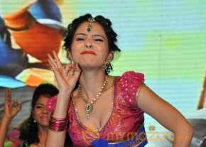  Zareena Photoshoot At Son Of Satyamurthy Movie Audio Launch  photo 3