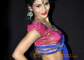  Zareena Photoshoot At Son Of Satyamurthy Movie Audio Launch  photo 2