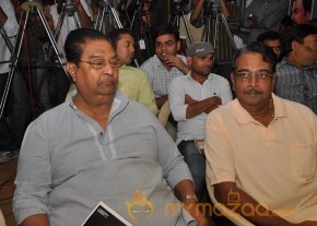 2013 MAA DAIRY LAUNCH PHOTO GALLERY