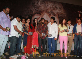 6 MOVIE AUDIO LAUNCH GALLERY photo 23