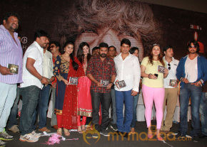 6 MOVIE AUDIO LAUNCH GALLERY photo 31