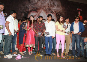 6 MOVIE AUDIO LAUNCH GALLERY photo 16