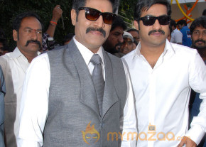 Aaadi New Movie Launch Photos photo 48