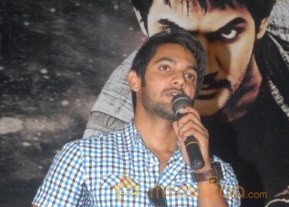 Aadi Rough Movie Logo Launch Photos photo 16