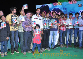 Abbai Class Ammai Mass Movie Audio Launch Gallery  photo 74
