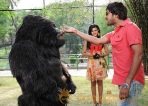 Action 3D Movie latest Hot Stills photo 12