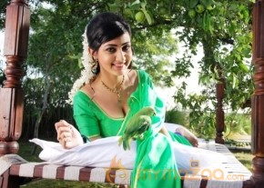Action 3D Movie latest Hot Stills photo 14