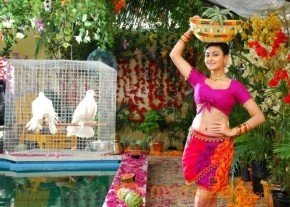 Action 3D Movie latest Hot Stills photo 2
