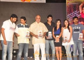 Action 3D Platinum Disk Function Photo Gallery photo 15