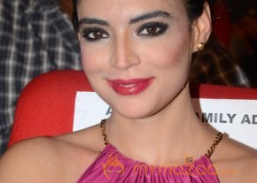 Adda Audio Launch Photos Gallery photo 65