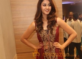 Aditi Arya at Ism Audio Launch photo 5