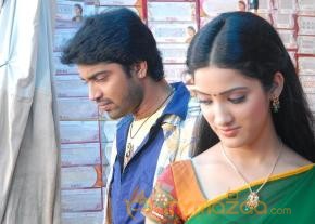 Allari Naresh Yamudiki Mogudu Movie Stills photo 2