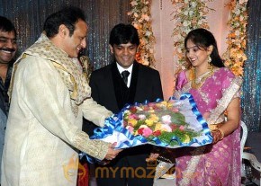 Ambica Krishna Son Marriage Reception photo 13
