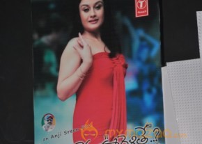 Amma Nanna Oorelithe Movie Audio Launch Photos photo 12