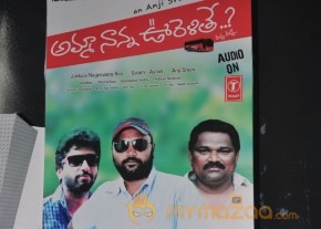 Amma Nanna Oorelithe Movie Audio Launch Photos photo 14