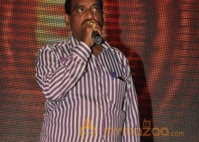 Amma Nanna Oorelithe Movie Audio Launch Photos photo 10