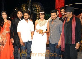 Anaganaga Oka Dheerudu Movie Audio Launch photo 25