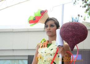 Apollo Cancer Hospital Fashion Show  photo 115