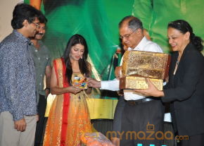April Fool Movie Audio Launch Gallery  photo 70