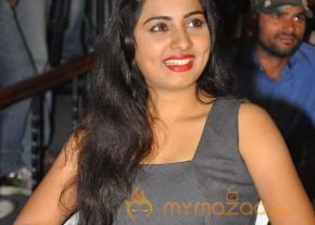 April Fool Movie Audio Launch Gallery  photo 6