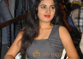 April Fool Movie Audio Launch Gallery  photo 5