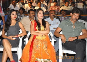 April Fool Movie Audio Launch Gallery  photo 13