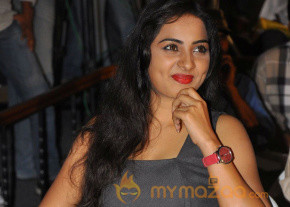 April Fool Movie Audio Launch Photos photo 3