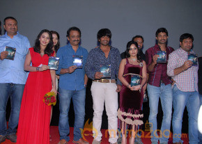 Aravind 2 Audio Release Photos photo 9