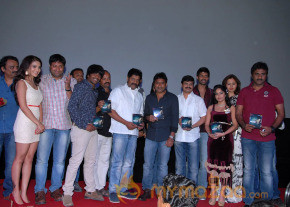 Aravind 2 Audio Release Photos photo 16