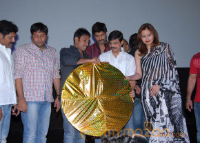 Aravind 2 Audio Release Photos photo 20