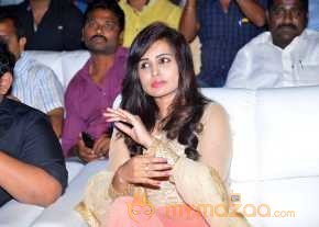 Asura Movie Audio Launch photo 2