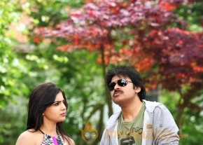 Attarintiki Daredi latest Photo stills photo 2