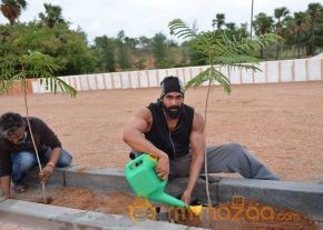Baahubali Team participated in Haritha Haram Program | Prabhas, Rana and SS Rajamouli photo 4