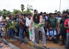 Baahubali Team participated in Haritha Haram Program | Prabhas, Rana and SS Rajamouli photo 6