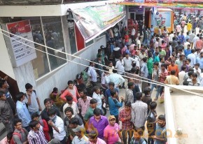 Babu Bangaram Theatre Coverage Stills photo 34