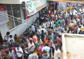Babu Bangaram Theatre Coverage Stills photo 22