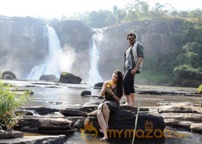 Bad Boy New Photo Gallery