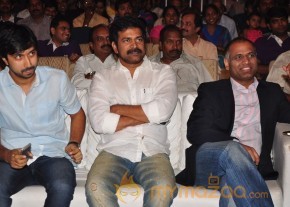 Balupu Audio Launch Photo Gallery photo 24